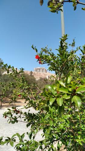 060 IMG 20220614 160941 athens acropolis