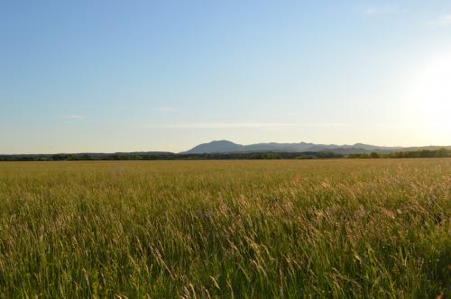 landscape-lucko-croatia-DSC 5993